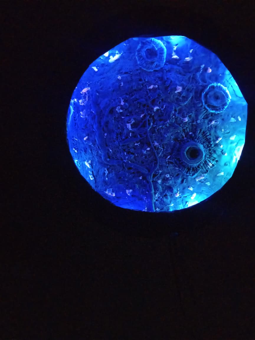 Moon Art
