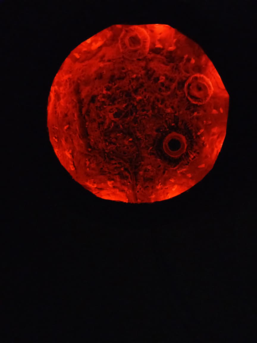 Moon Art