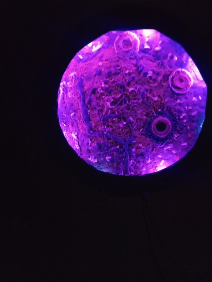 Moon Art